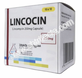 what is lincomycin used to treat